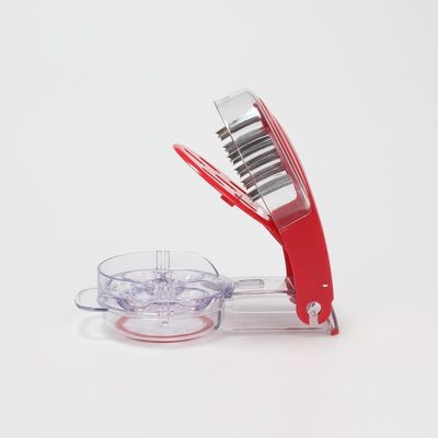 Dispositivo per la rimozione di semi di ciliegie per 6 ciliegie
