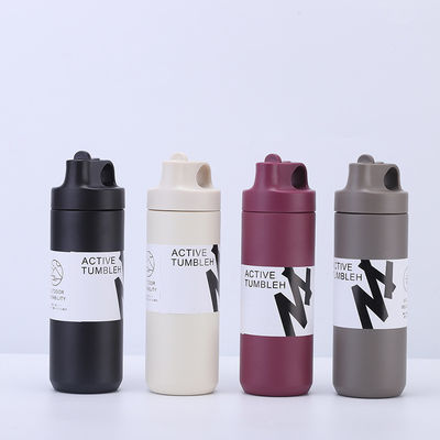 304 Acciaio inossidabile Japandi Design Style 550ml Doppia parete Bottone aspirapolvere con maniglia