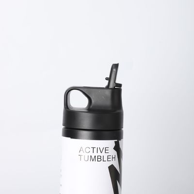 304 Acciaio inossidabile Japandi Design Style 550ml Doppia parete Bottone aspirapolvere con maniglia