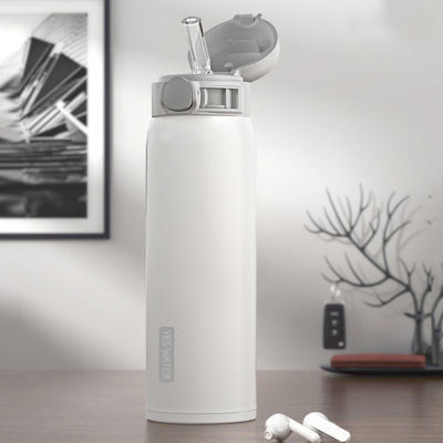 Bevande dirette 500 ml Tazza isolante in acciaio inossidabile con paglia autonoma 2022